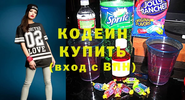 индика Михайлов
