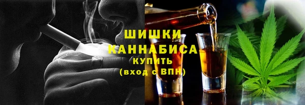 индика Михайлов