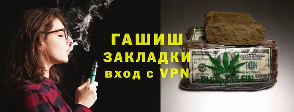 индика Михайлов