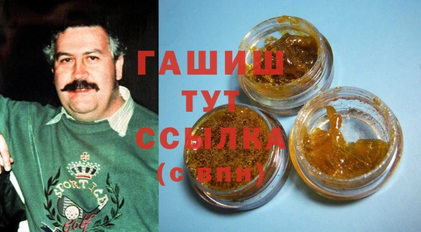 индика Михайлов