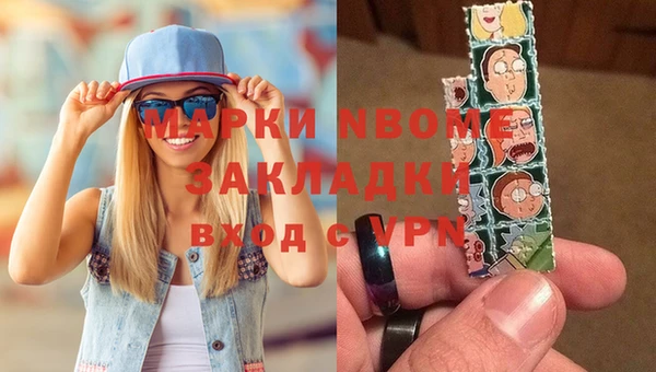 индика Михайлов