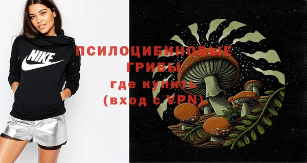 индика Михайлов
