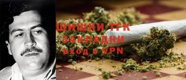индика Михайлов
