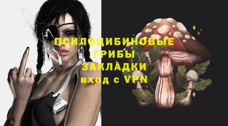 где купить наркоту  Нестеровская  Псилоцибиновые грибы MAGIC MUSHROOMS 